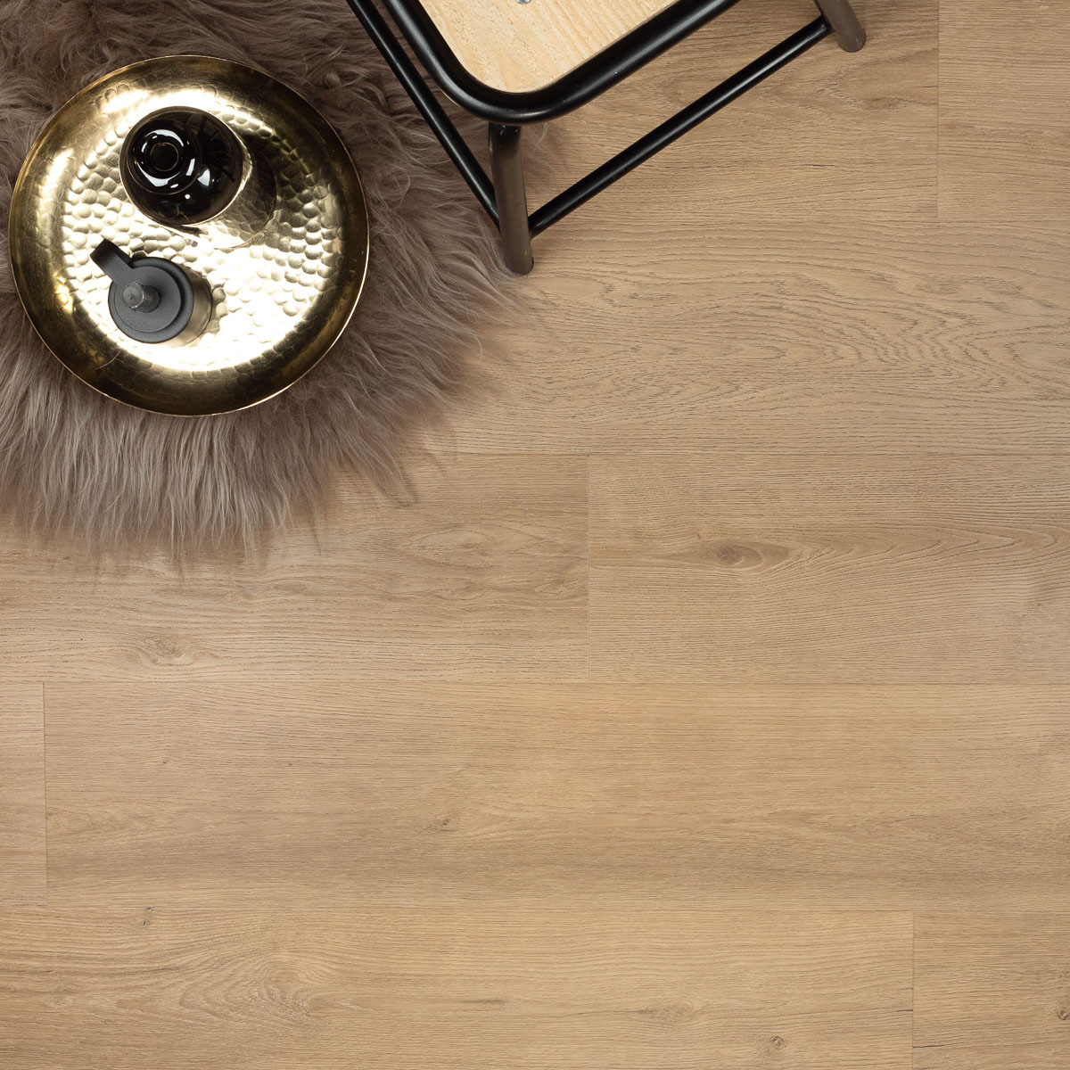 Dryback riante plank gemberkoek UM