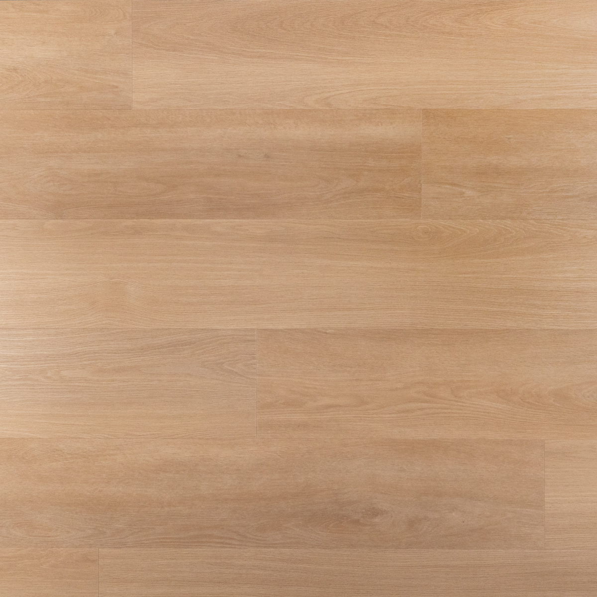 Dryback riante plank tompouce UM