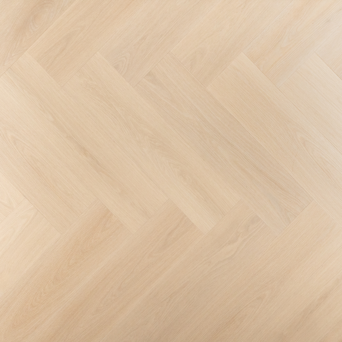 Dryback visgraat tarte tatin UM