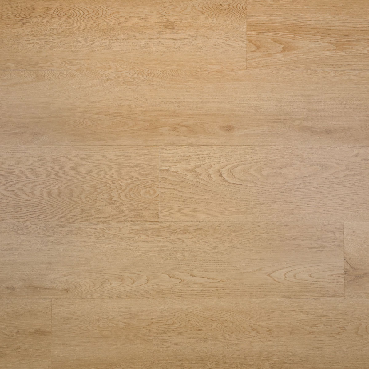Dryback plank druif UM