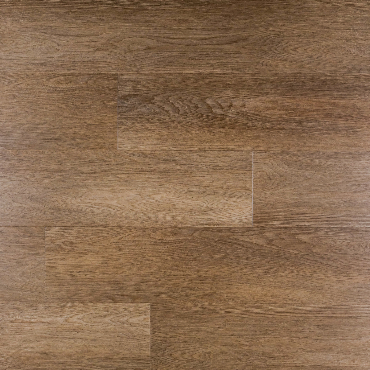 Savanna plank Dryback