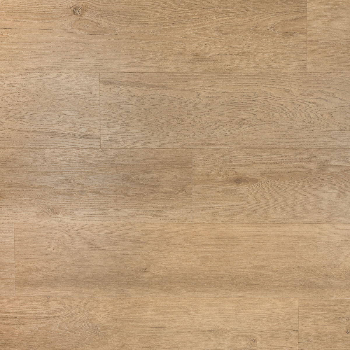 Klik riante plank gemberkoek UM